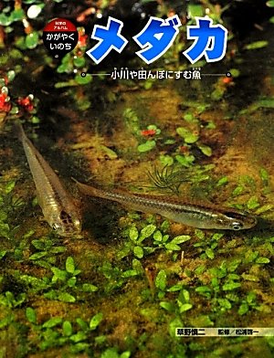 いのちの童話: メダカ銀河をゆく/手塚 カズ 51IH6cDXt1L.jpg