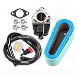 Hippotech 640065A 640065 Vergaser mit 36356 36357 Luftfilter für Tecumseh 640065A 640065 OHV125 OHV130 OVH135 OHV110 OHV115 OHV120 OV358EA Rasenmäher