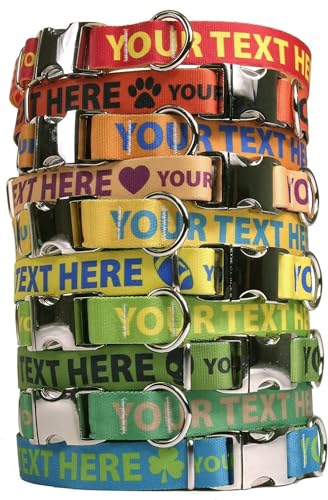 Yellow Dog Design Personalized Premium Dog Collar