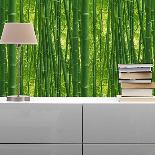 TADESSI Tapete Dschungel Camilla M1-No.885 Papiertapete Grün Natur Dschungeloptik für Wohnzimmer Schlafzimmer Küche