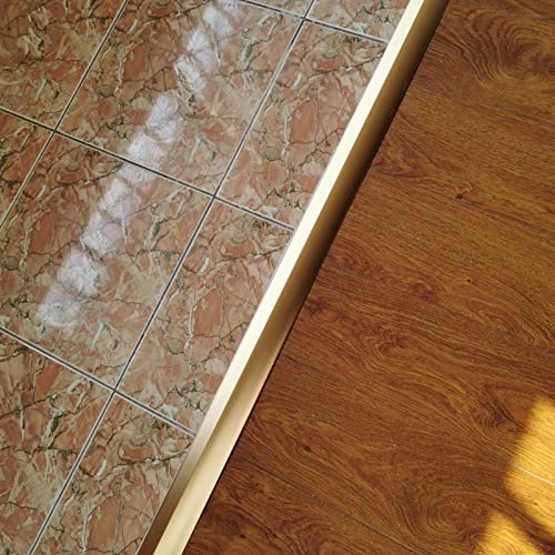Bande de transition de sol pour rattraper un dénivelé de 2 cm sans percer
