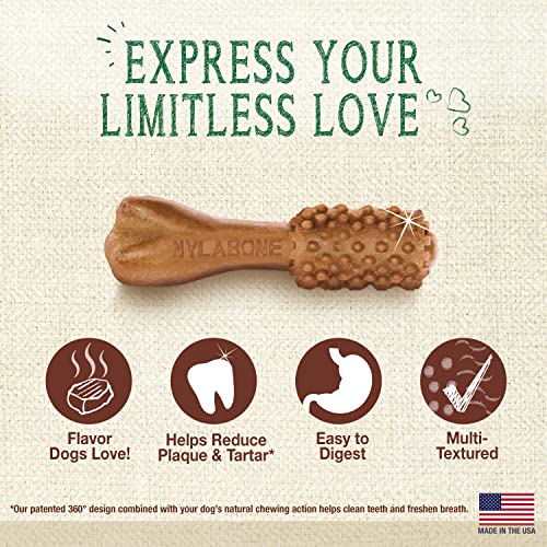 Nylabone Nutri Dent Filet Mignon Flavored Dog Dental Chews Mini - Up To 10 Lbs. 160 Count #TOP1