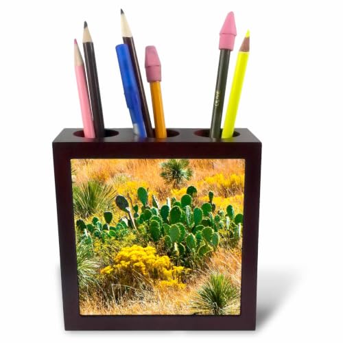 3dRose USA. Texas, Guadalupe Mountain NP, Prickly Pear Cactus. 5 inch tile pen holder