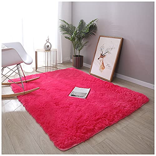 DAIHAN Tapis Salon Shaggy - Descente de Lit Chambre Grande Taille Tapis Extra Doux et Confortable...
