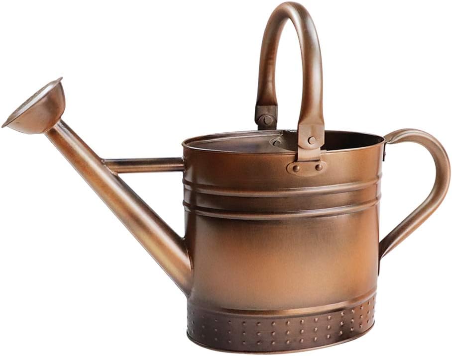 1 Gallon Metal Watering Can With Removable Spout For