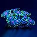 Uniclife 4 Pack Fish Tank Decorations Glowing Effect Aquarium Décor Small Silicone Artificial Coral Plant Ornament