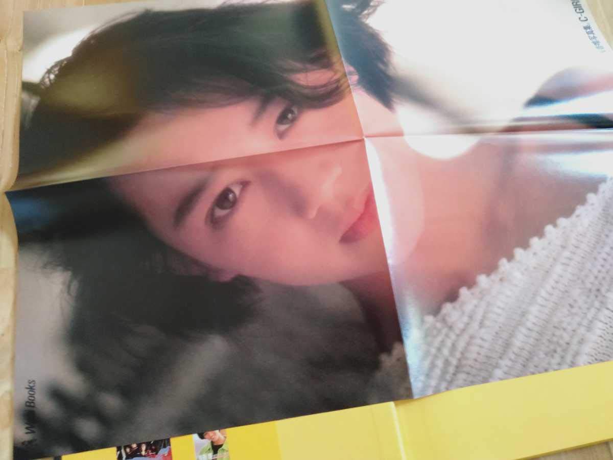 Amazon.co.jp: 浅香唯写真集 C-GIRL 野村誠一 ワニブックス : おもちゃ
