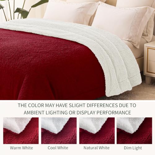 Exclusivo Mezcla Decke Kuscheldecke, Beidseitige Dicke Fleecedecke Plüschdecke für Bett und Sofa… – Ansicht 4