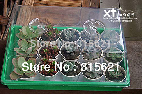 Bureze Seedling box germinating box nursery trays with Vent Size 38 * 24 * 18cm