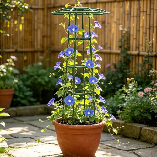 Soporte resistente para flores y enredaderas 8