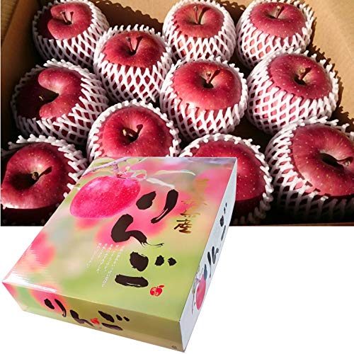 XY p(Gi) Tӂ5kg(Fϔ)Mtgp _