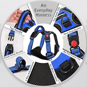 No Pull Dog Harness, Adjustable Soft Padded Dog Vest, Reflective No-Choke Pet Oxford Vest with Easy Control Handle for Small and Large Dogs (Blue, X-Large)