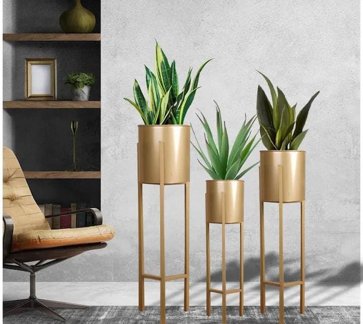 DZINE STORE Metal Planter Stand and Pot Golden Set of 3 Indoor Planter Stand Perfect for Living Room, Bedroom, Hall, Hotel, Garden Decoration (B0DCG53CB4) Amazon Price History, Amazon Price Tracker