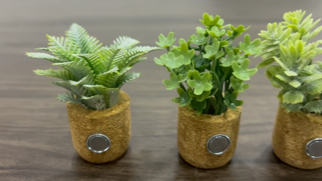 Imanes decorativos para refrigerador plantas 4 piezas miniatura 7