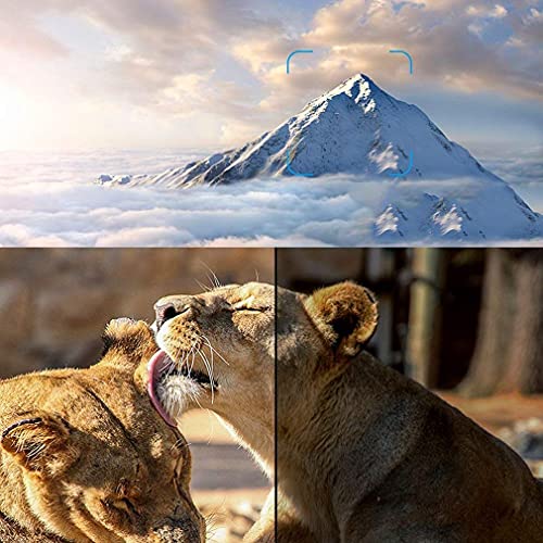 Binoculars 40X60 Monocular Telescope Wide Angle NightPrism miniatura 4