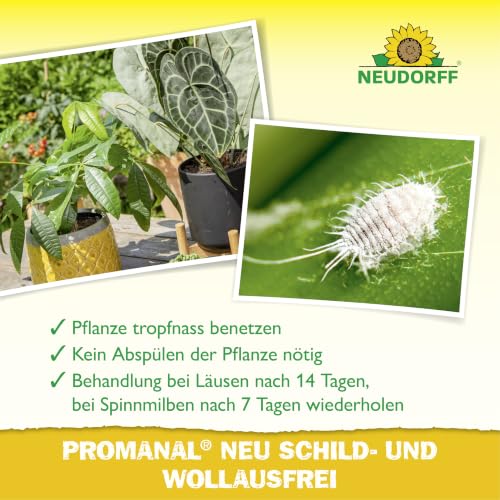 Neudorff Promanal Neu Schild- und Wolllausfrei – Konzentrat bekämpft Schild- und Wollläuse sowie Spinnmilben an hartlaubigen Zierpflanzen… – Ansicht 4
