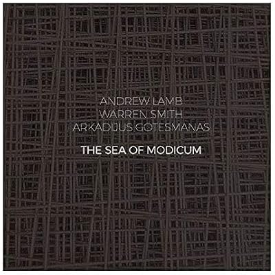 Andrew Lamb & Warren Smith & Arkadijus Gotesmanas: The Sea of Medicum