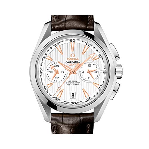 Omega Seamaster Aqua Terra Steel Men's Watch w/Brown Crocodile Leather Strap 231.13.43.52.02.0012