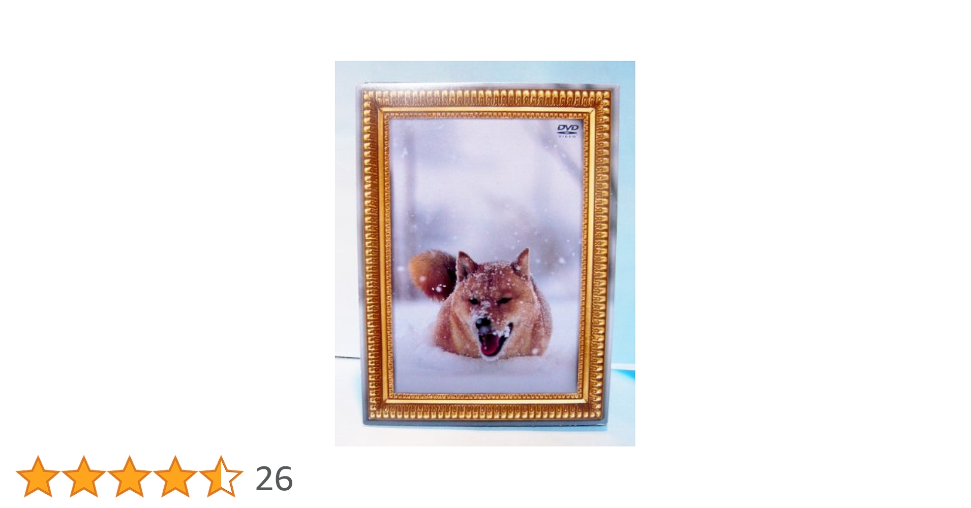 (未使用･未開封品)　レオナルド犬プリオ(初回生産限定盤) [DVD] ar3p5n1 Amazon.co.jp: レオナルド犬プリオ(初回生産限定盤) [DVD