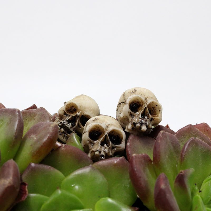 SHIDXIB 20Pcs Mini Skulls Small Skeleton Head Flowerpot Decor Realistic Skull Crafts Halloween Garden Decoration Bonsai Courtyard Ornaments