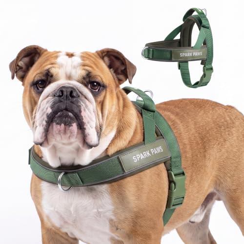 Image of Spark Paws No Pull Front Clip Dog Harness - Easy On, Padded and Lightweight | Two Clips, On in Seconds, Chest Bearing, Australian Style, No Throat Pressure, for Small Medium and Large Breeds