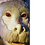  Wellhöfer: Pelino Synphonic 1 Sonaten No. 1 bis No. 4