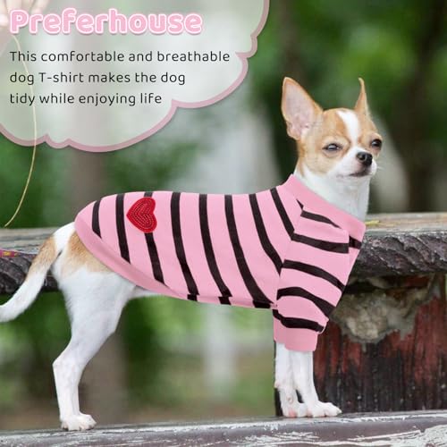 T-shirt rayé pour chien protégeant la peau des petits chats en été et printemps - 7