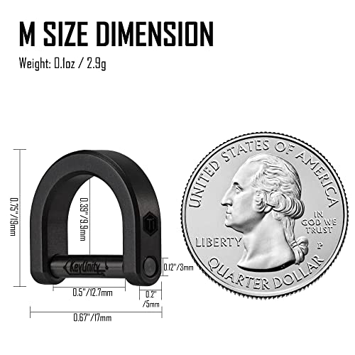 Image of KeyUnity KA17 Titanium D Ring Key Shackle, U Shape Key Ring Horseshoe Clasp for Car Fob, DIY Leather Key Organizer Keychain