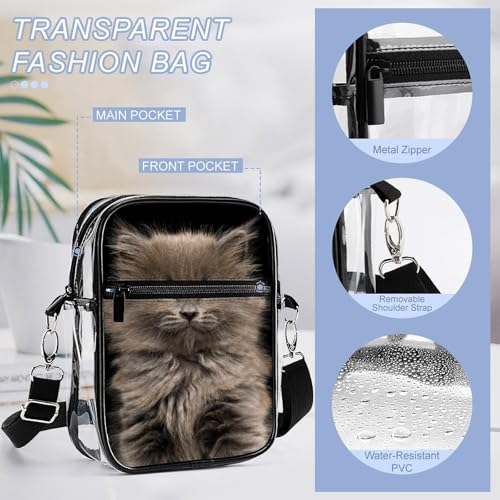 Portrait of Gray Kitten Clear Crossbody Bag Stadium Bag Adjustable Side Shoulder Bags Messenger Bag with 2 Compartments4