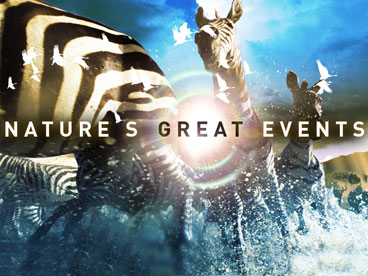 その他 Nature's Great Events [DVD] Nature's Great Events [Blu-ray] [Region Free]: Amazon.co.uk: David