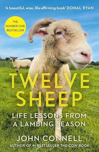 Twelve Sheep: Life Lessons From A Lambing Season