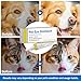 Besgiful Pet Eye Health Cream for Cats, Dogs, Cattle, Sheep, Horses, Birds, 1/8 oz / 3.5gr, 1 Tube for All Pets