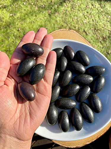 Narmada Shiva Lingam Pocket Stone Black 1.25"Inch (51 Piece Lot) Rare Banalinga Stone Shivling Shivling Narmadeshwar Banalinga Spiritual Sacred Shiva Egg Jyotirlinga God Idols Statues Stone Religious #TOP1