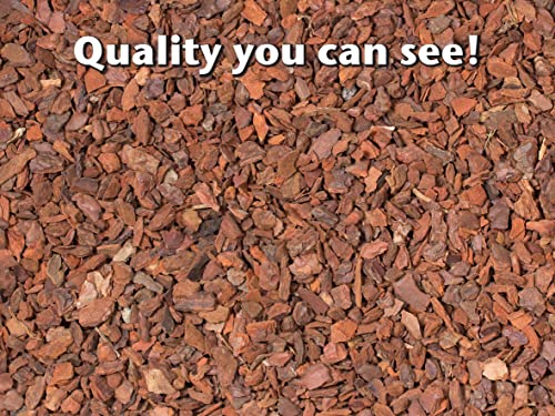 Growth Technology Ltd MDOF3 Orchid Focus Repotting Mix 3 Litre, brown (Pack of 2) - Image 2