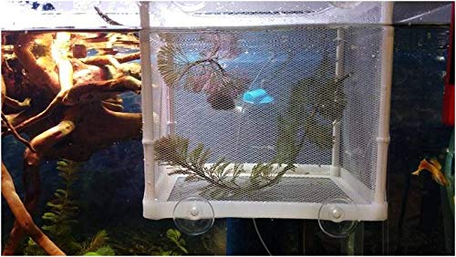 Aquarium Fish Breeder Box, Breeding Incubator For Small Fish Hatchery Shrimp Clownfish Aggressive Fish Injured Fish #TOP1