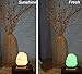 ESOW Himalayan Salt Lamp in Multi Color Changing, 3 Watts LED Bulb and Wood Base, Small Size About 4.7