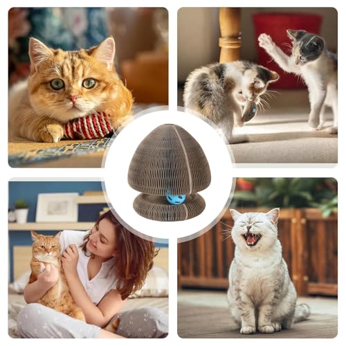 Orgue pour chat rétractable pour amuser votre animal dans le salon - 5