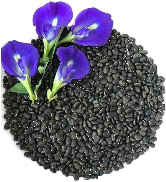 Great Description About Blue Pea Flower Seeds
