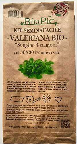 Valeriana Bio - Kit completo de canónigo para huerto de cultivo ...