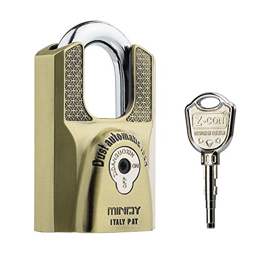Padlock by Mindy,No Key-Copying Locker Lock Big and Sturdy with Fashion Design(2.34 in Wide/1.2 Pounds)