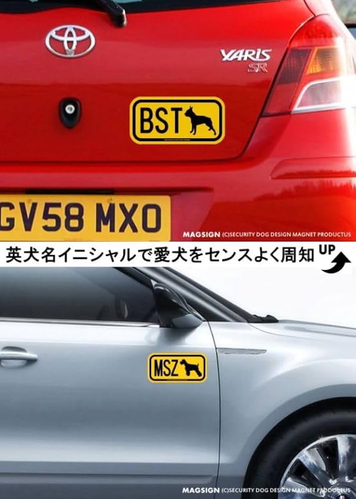 ayhyimam　プードル ayhyimam プードル ayhyimam プードル トイプードルの子犬紹介