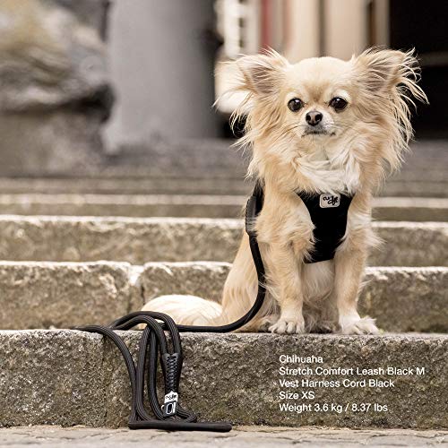 Stretch Comfort Leash Tan M
