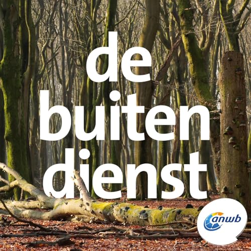 De rust van het Wieselsche Bosch