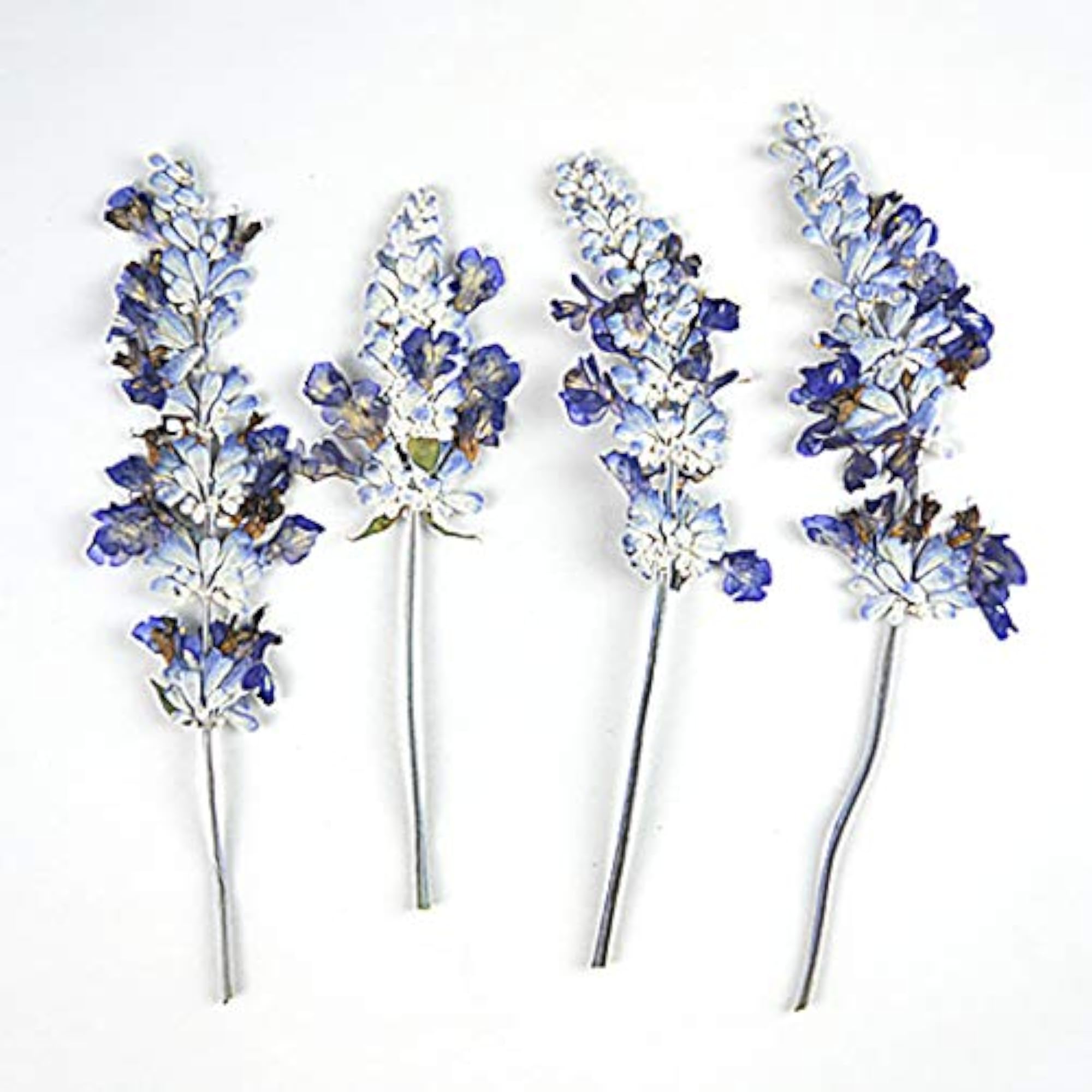 Dried Flower Multipurpose Creative DIY Funny Supplies Pressed Flower