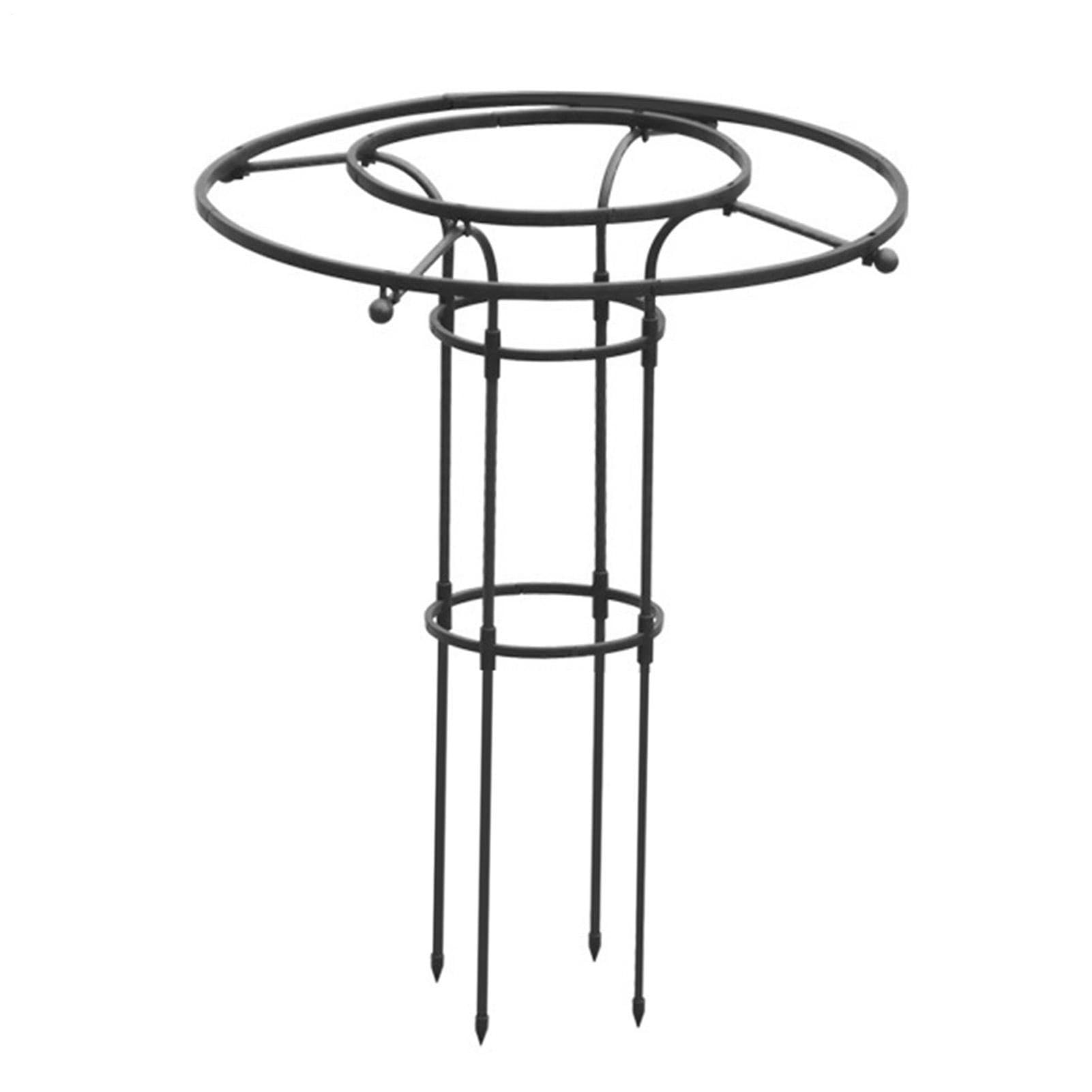 Treillis d'extérieur pour grimpantes et légumes de jardin