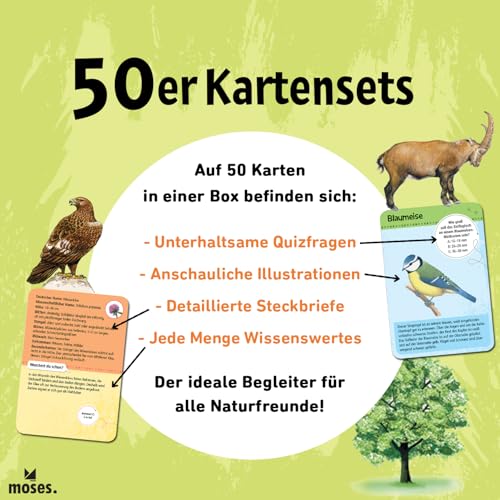Moses. Verlag Gmbh 50 Dinosaurier: Erkennen & Staunen! - 4