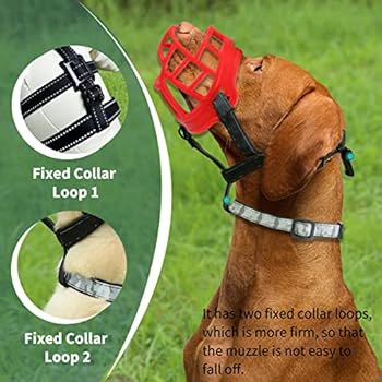 puppy muzzle for chewing