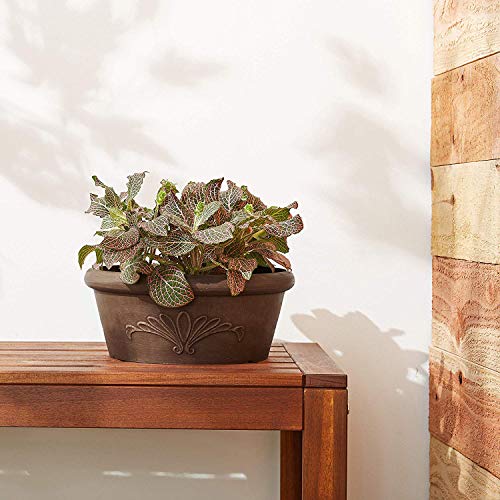 Arcadia Garden Products Psw Ta20C Bulb Pan, 8 By 3-Inch, Chocolate, 8"X3" #TOP4