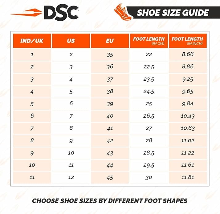 Image of DSC Beamer Cricket Shoes for Mens (Light Weight | Economical | Durable)