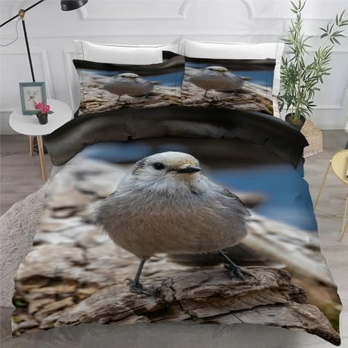 Housse couette en microfibre douce 200x200 avec zip motif oiseau mésange - 6